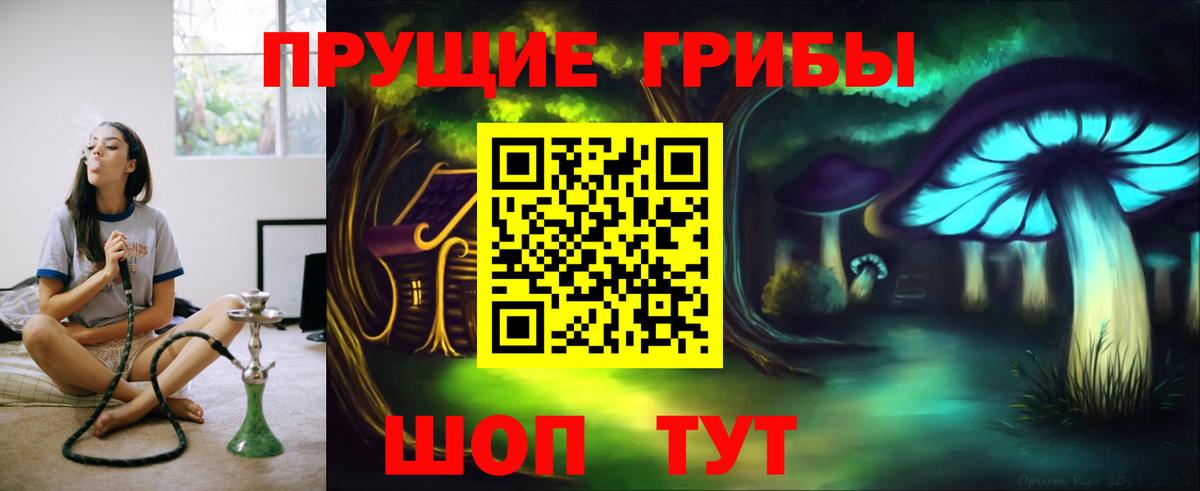 Галлюциногенные грибы Magic Shrooms Саранск