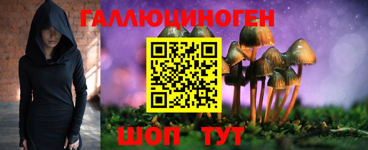 Псилоцибиновые грибы Magic Shrooms  Вход с VPN  Саранск 